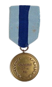 Satyalancana Prajurit Setia VIII
